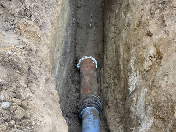 Best Basement water damage restoration  in Sharon, WI