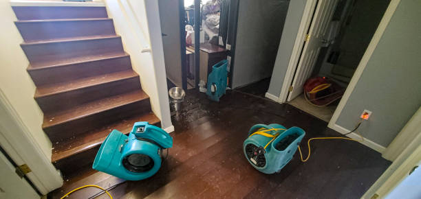 Best Fire Damage Restoration  in Sharon, WI
