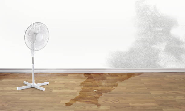 Best Local water damage restoration  in Sharon, WI