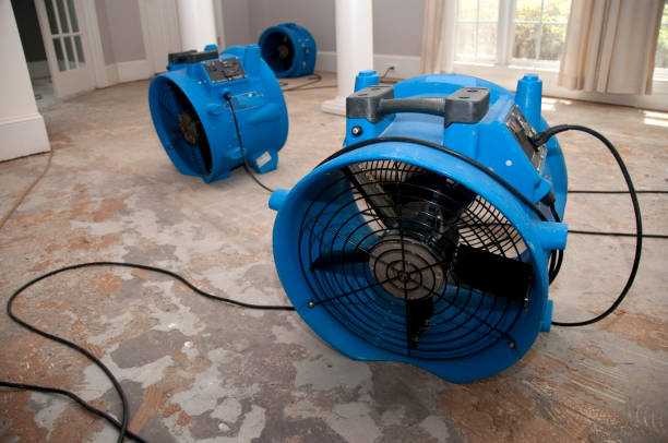 Best Professional water damage repair  in Sharon, WI