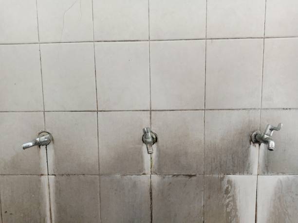 Best Emergency water damage restoration  in Sharon, WI