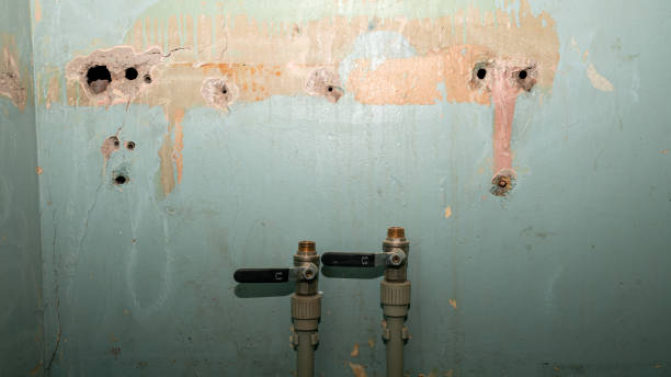 Best 24-hour water damage restoration  in Sharon, WI
