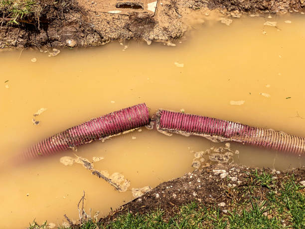 Best Water damage mitigation services  in Sharon, WI