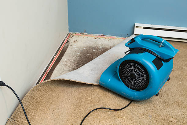 Best Emergency water damage restoration  in Sharon, WI